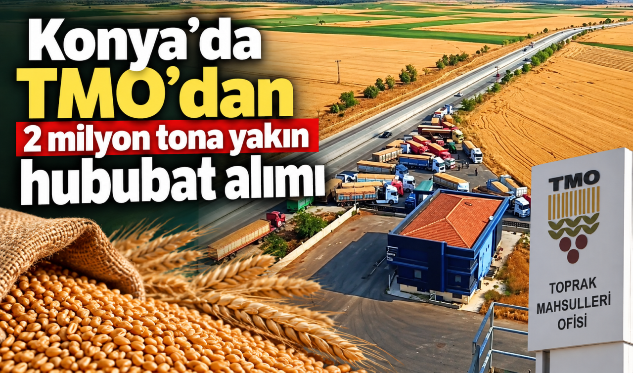 Konya'da TMO'dan 2 Milyon Tona Yakın Hububat Alımı
