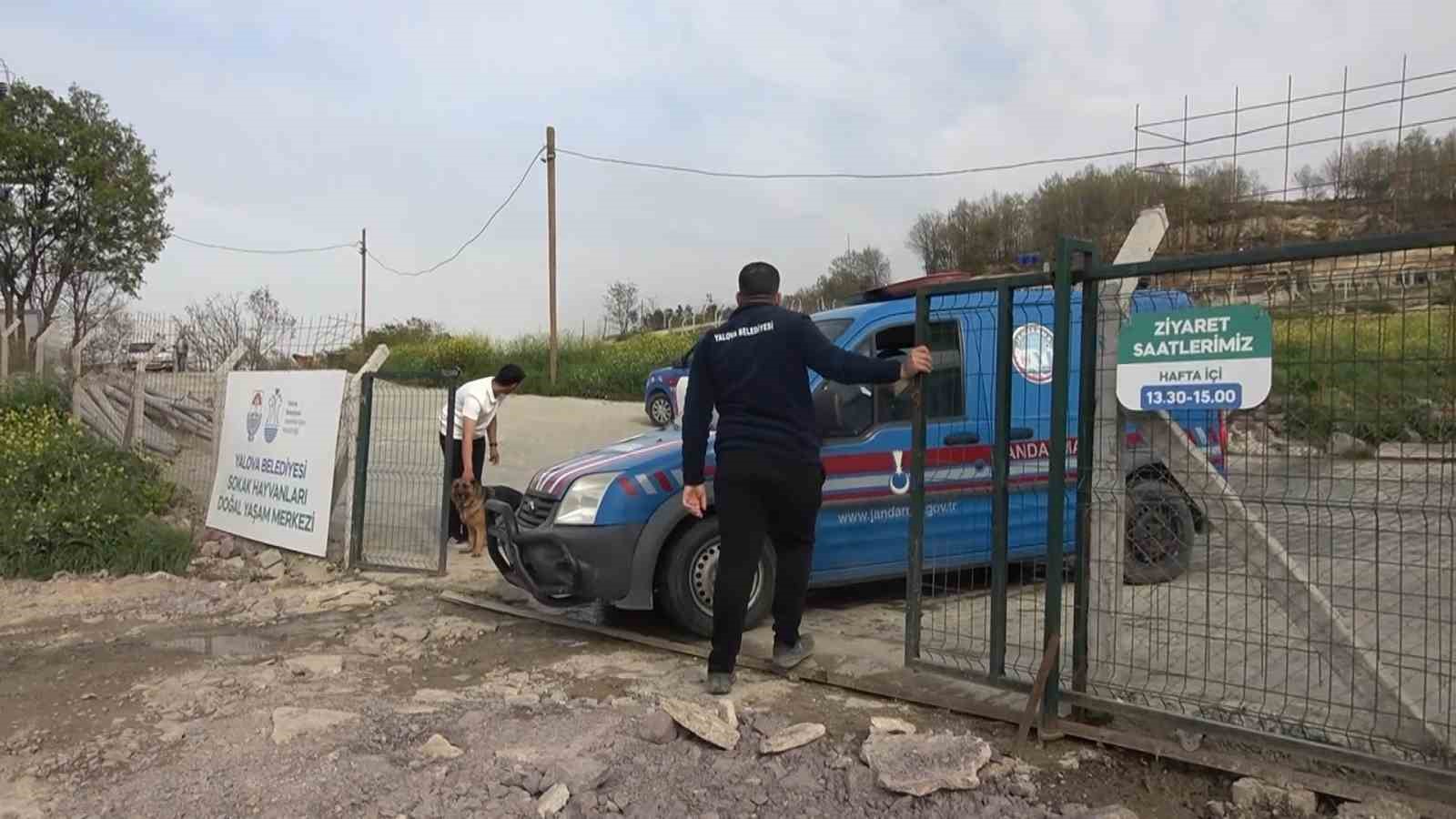 Yalova’daki barınakta köpek ölümleriyle ilgili soruşturma
?v=1