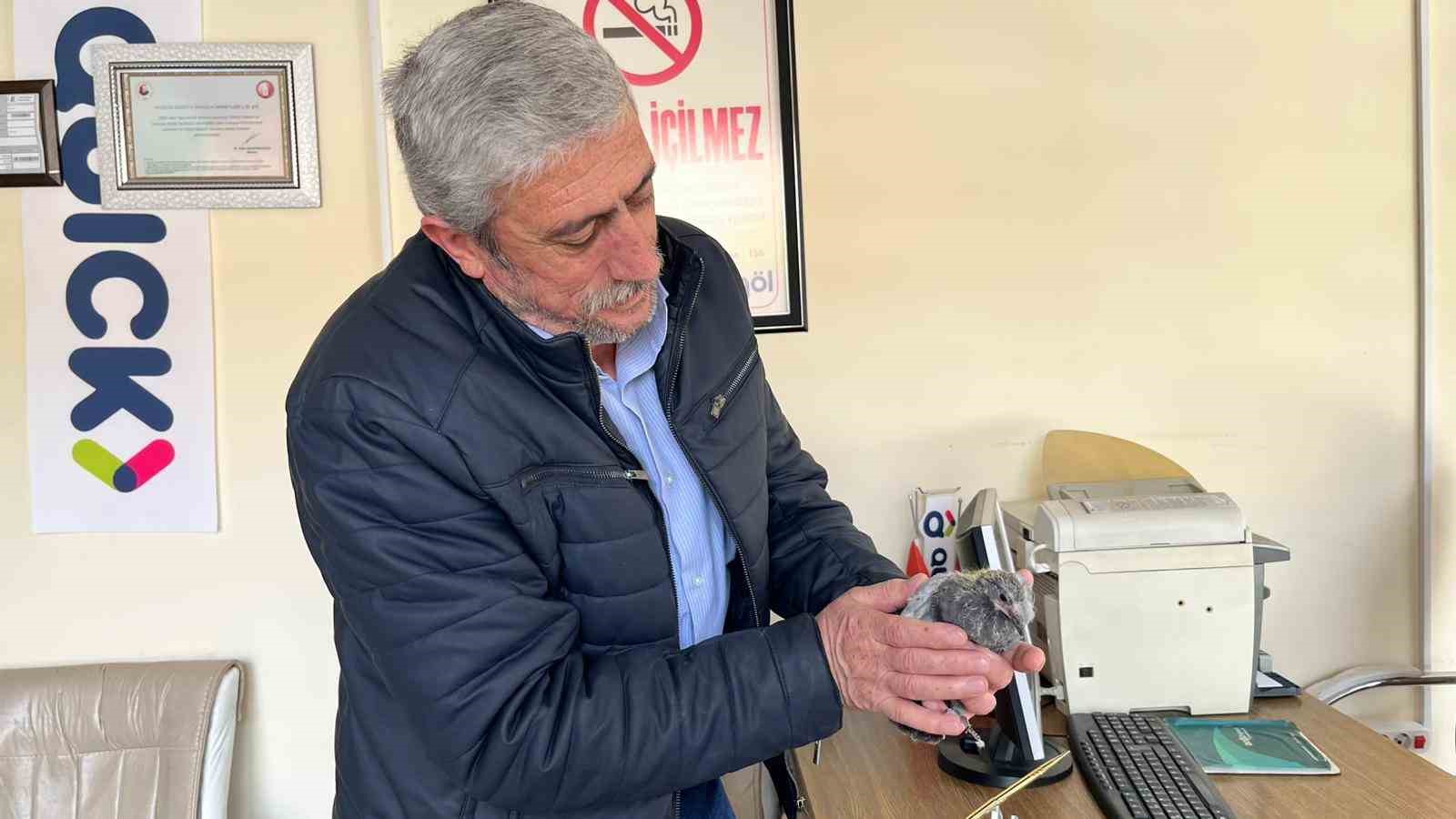 Bünyan’da çatıdan düşen kuş, yuvasına kavuşturuldu
?v=1