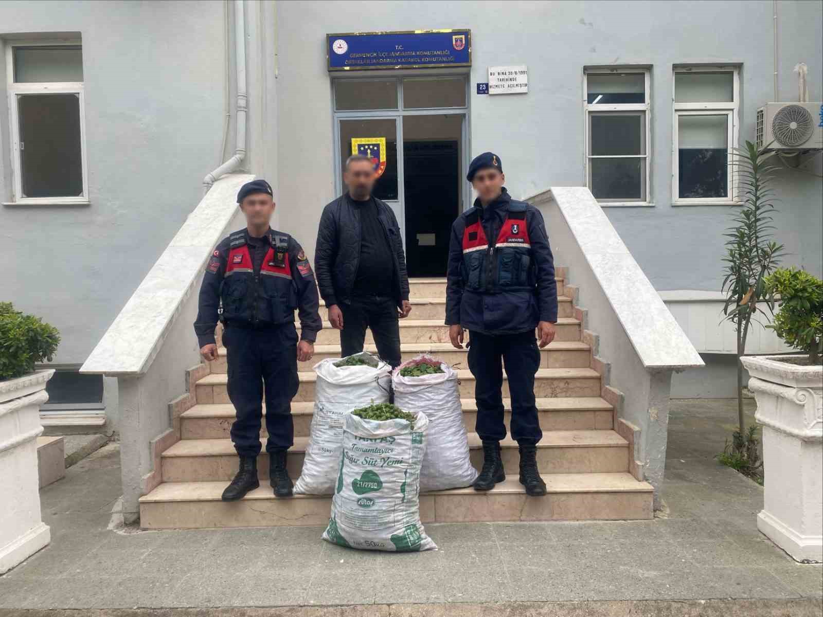 Germencik’te incir bahçesinde jandarmadan suçüstü
?v=1