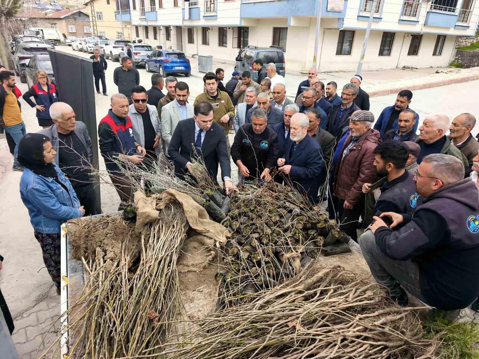 Çemişgezek’te vatandaşlara ücretsiz fidan dağıtıldı
?v=1