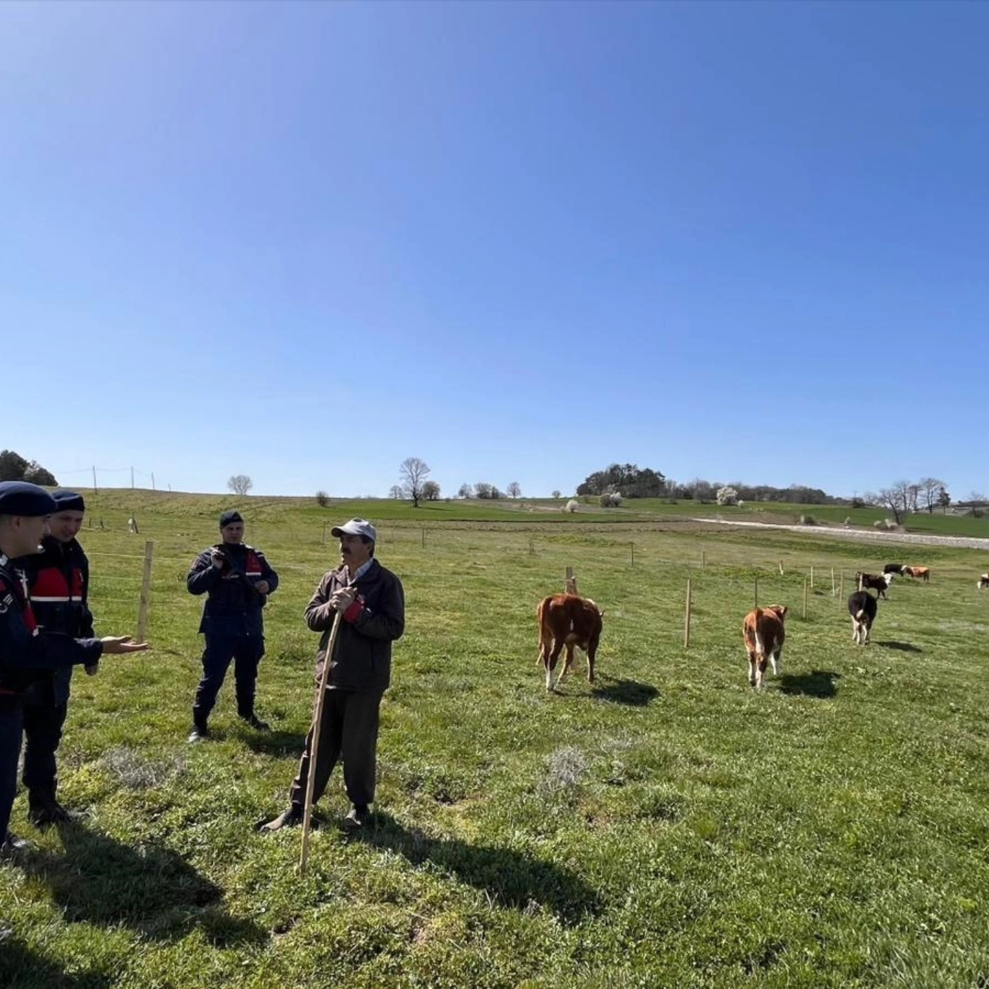 Bilecik’te hayvan hırsızlığı ve dolandırıcılık uyarısı
?v=1