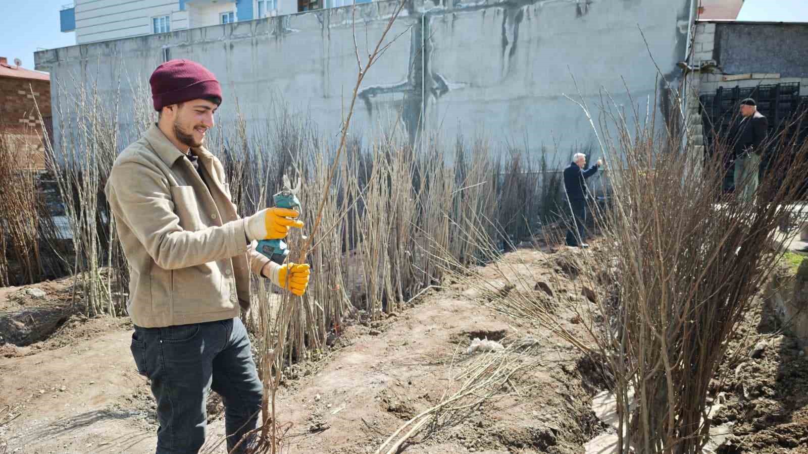 Ahlat’ta meyve fidanlarına ilgi
?v=1