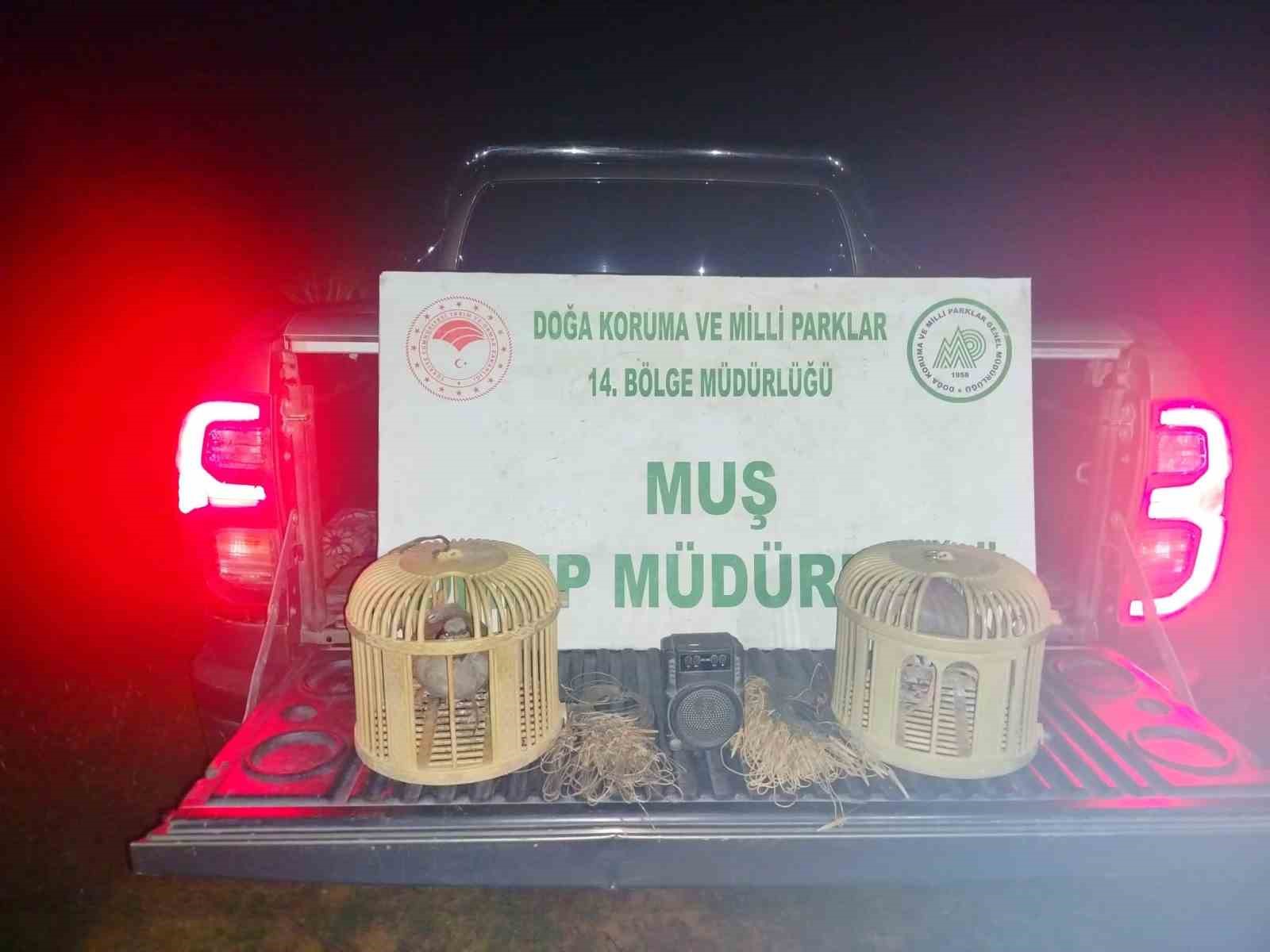 Muş’ta kaçak keklik avına suçüstü: 65 bin TL ceza kesildi
?v=1