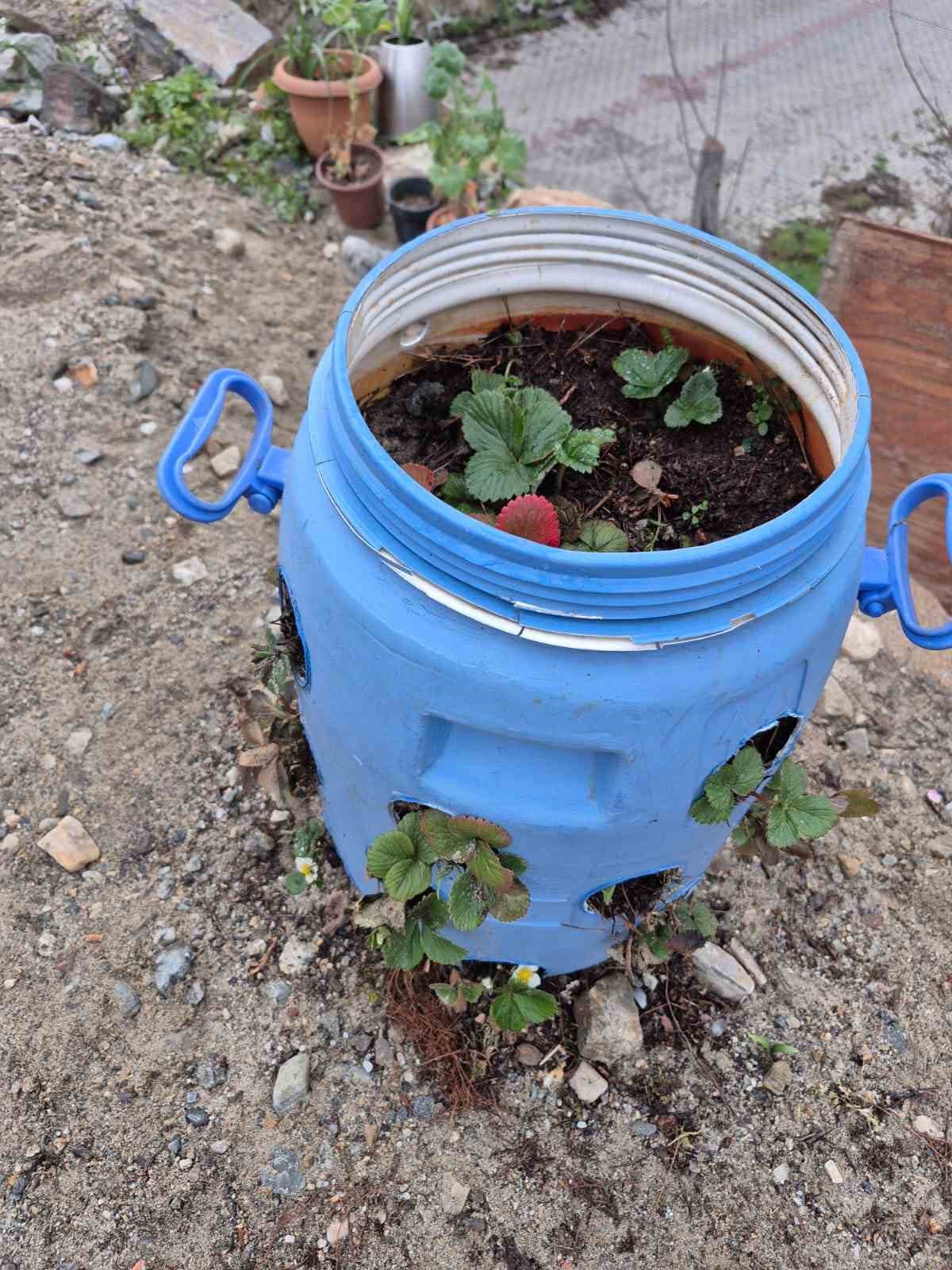 Buldanlı üreticiler atık malzemeleri tarımda değerlendiriyor
?v=1