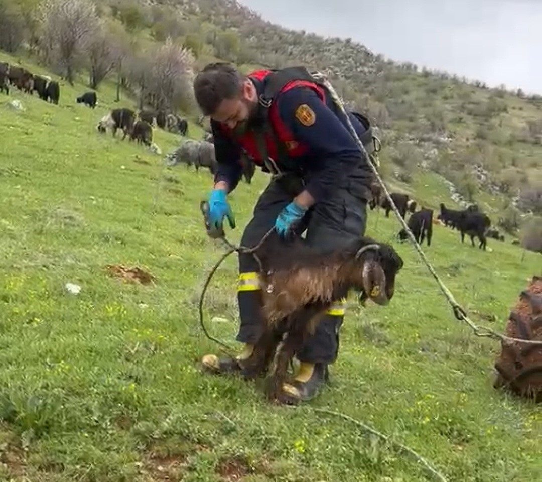 Kuyuya düşen keçiyi itfaiye kurtardı
?v=1