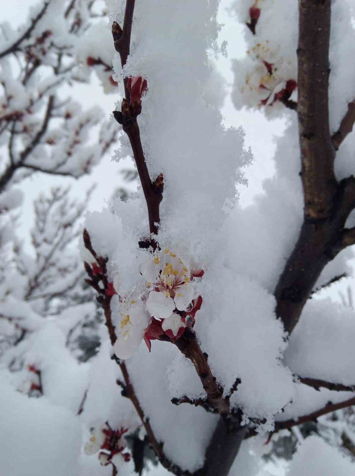 Nisan karı mahalleyi beyaza bürüdü
?v=1