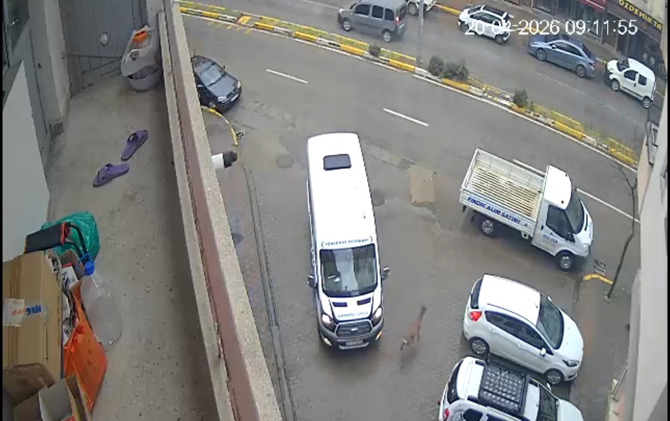 Karaca Giresun’un Görele ilçesinde şehir merkezine indi: iki araca çarptı, gözden kayboldu
?v=1