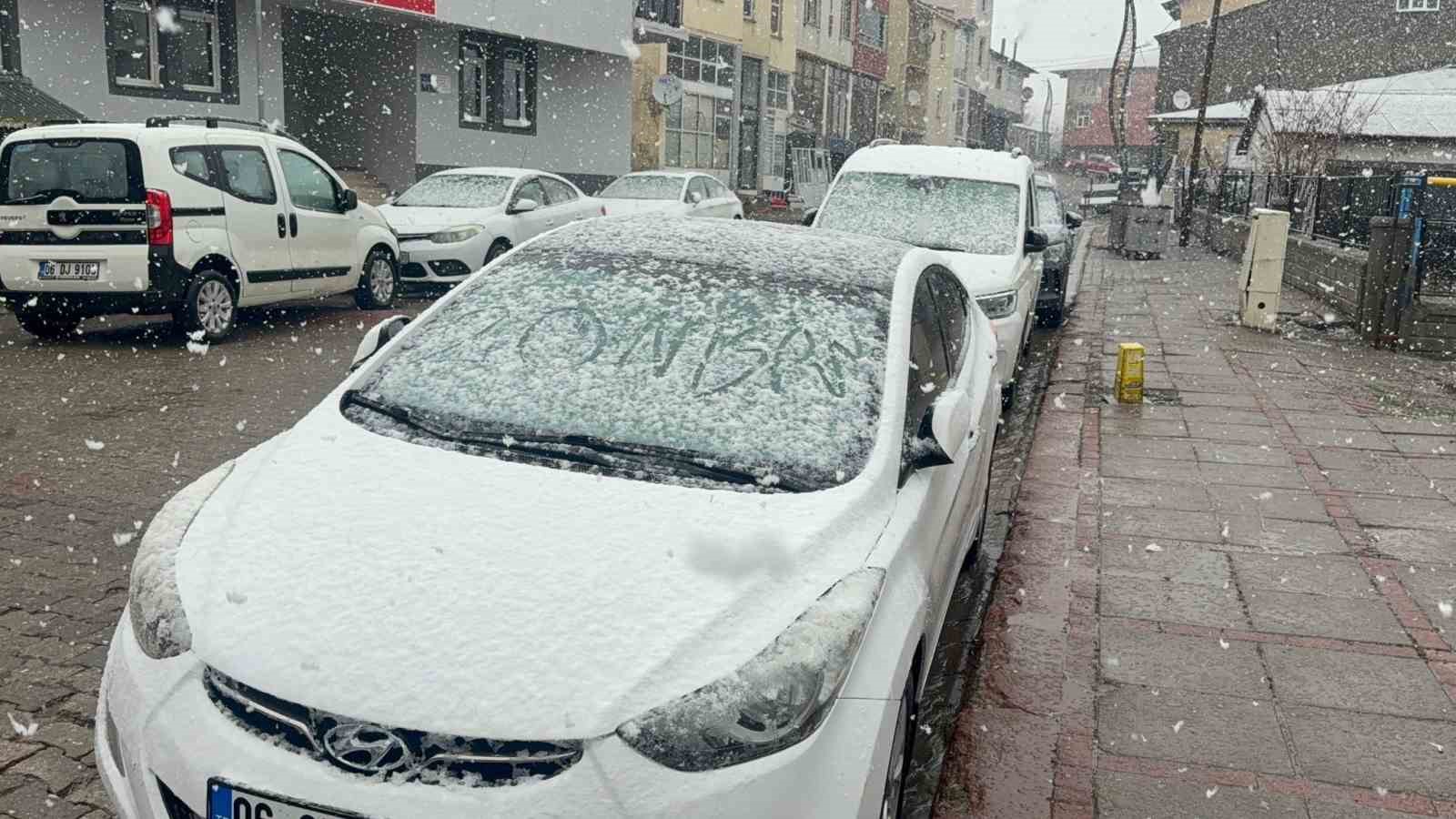 Karlıova’da nisan karı etkili oldu
?v=1