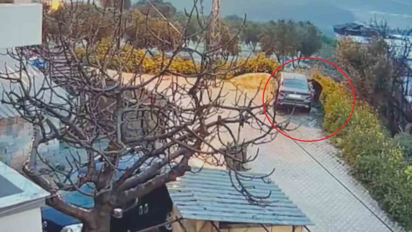 Park halindeki otomobili benzin döküp yakan, araç sahibinin yeğeni çıktı
?v=1