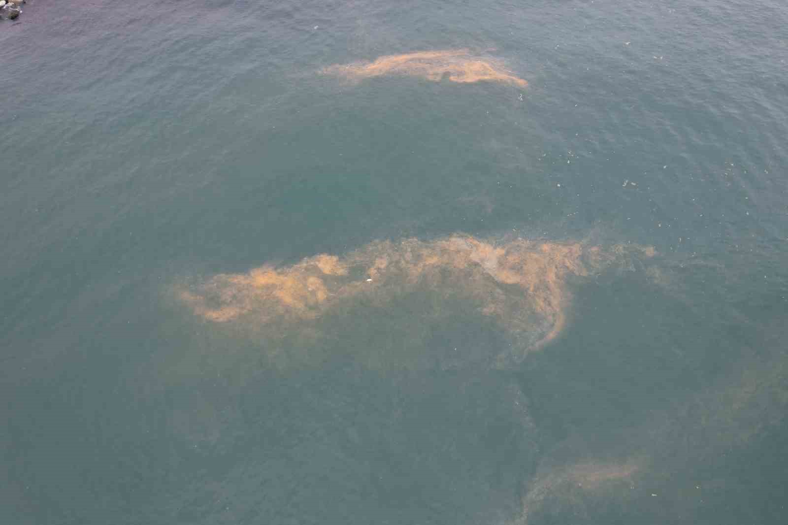 Avcılar kıyılarında tedirgin eden görüntü
?v=1