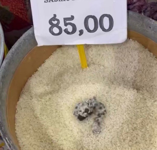 Mersin’de skandal görüntü: Pirinçten kedi dışkısı çıkan markete ceza
?v=1