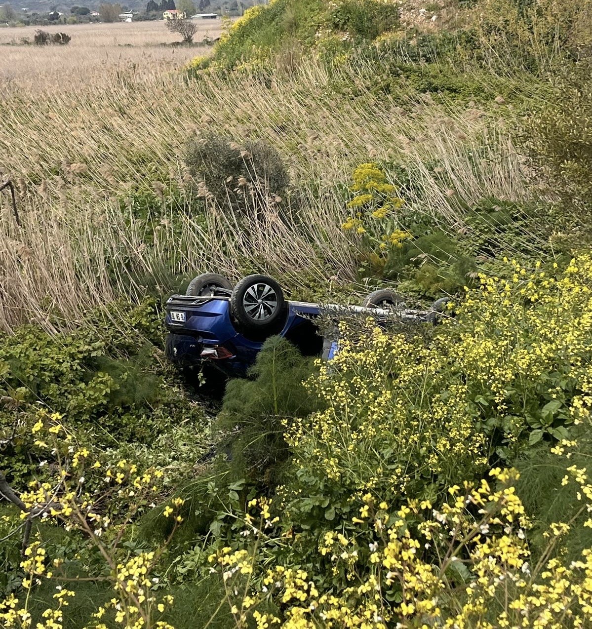 Direksiyon hakimiyetini kaybeden araç yoldan çıktı: 3 yaralı
?v=1