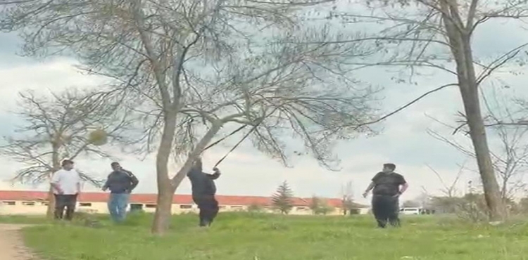 Eskişehir’de ‘mangal için ağaç dalını kırmaya çalıştılar’ iddiası?v=1