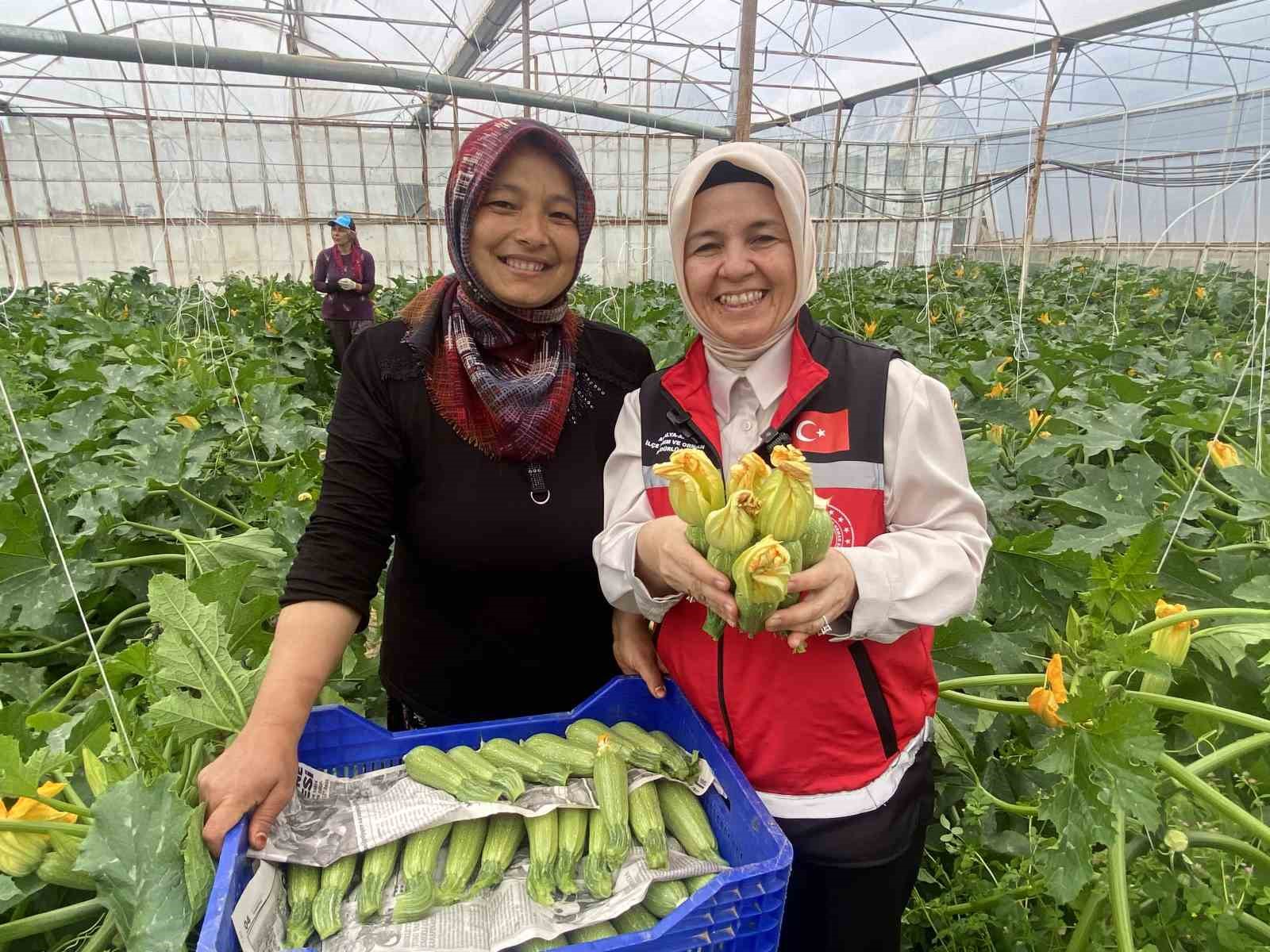 Kadın çiftçi hem üretiyor hem ihraç ediyor hem de pazarda satıyor
?v=1