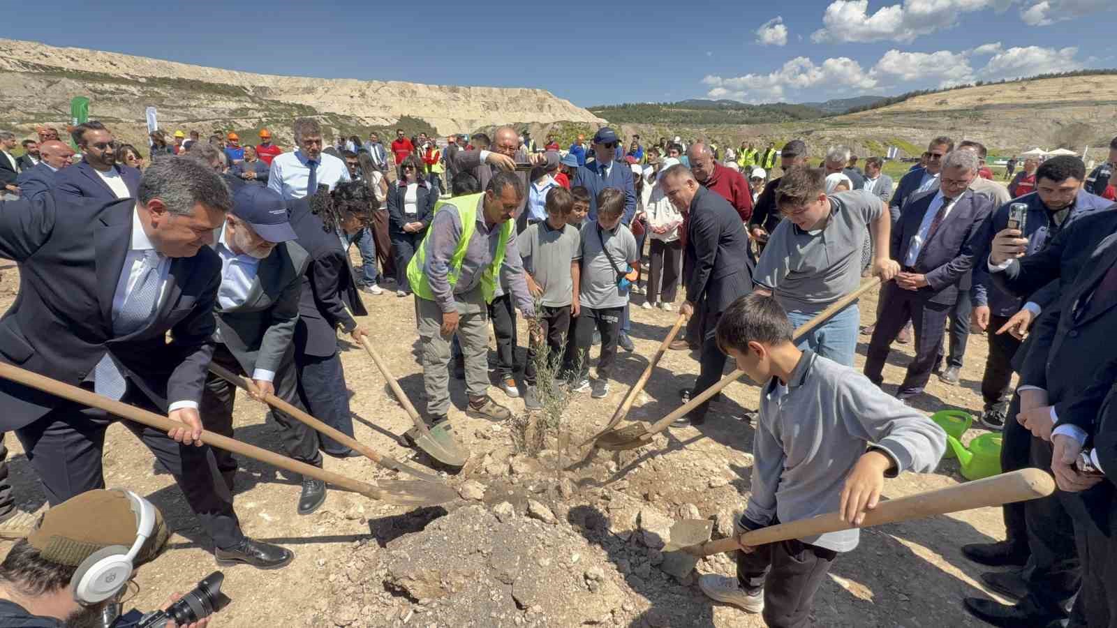 Taşınan her zeytin ağacına karşılık fidan: Milas’ta 4 bin zeytin toprakla buluştu
?v=1