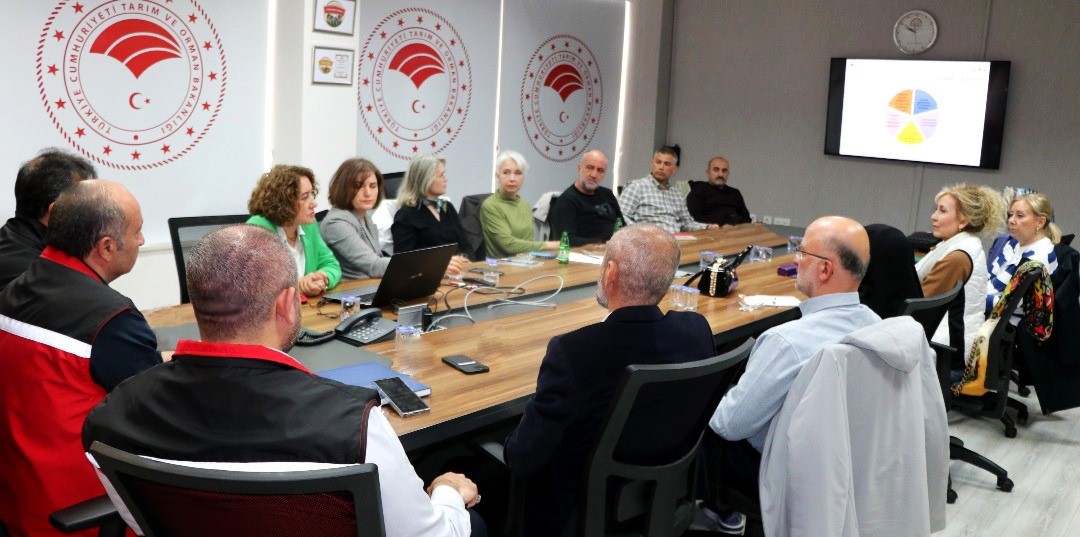 Yalova’da yaban mersini üreticilerine eğitim
?v=1