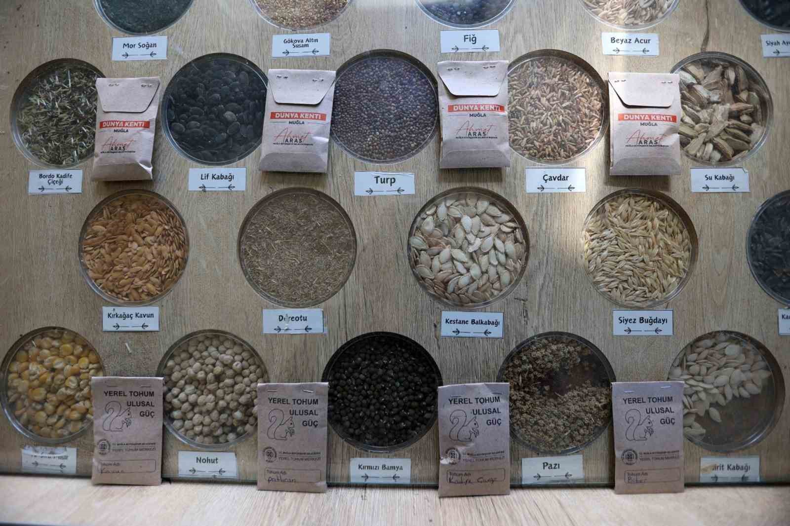 3 milyon yerel tohum dağıtıldı
?v=1