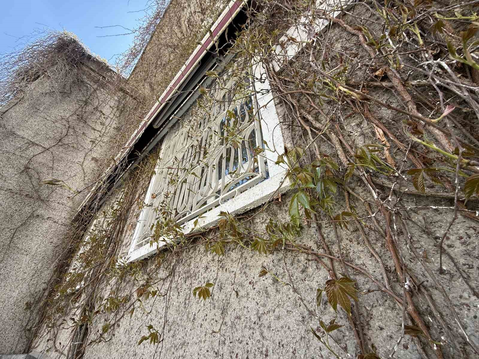 Eskişehir’de ‘Sarmaşıklı Camii’nin dış cephesi yeşermeye başladı
?v=1