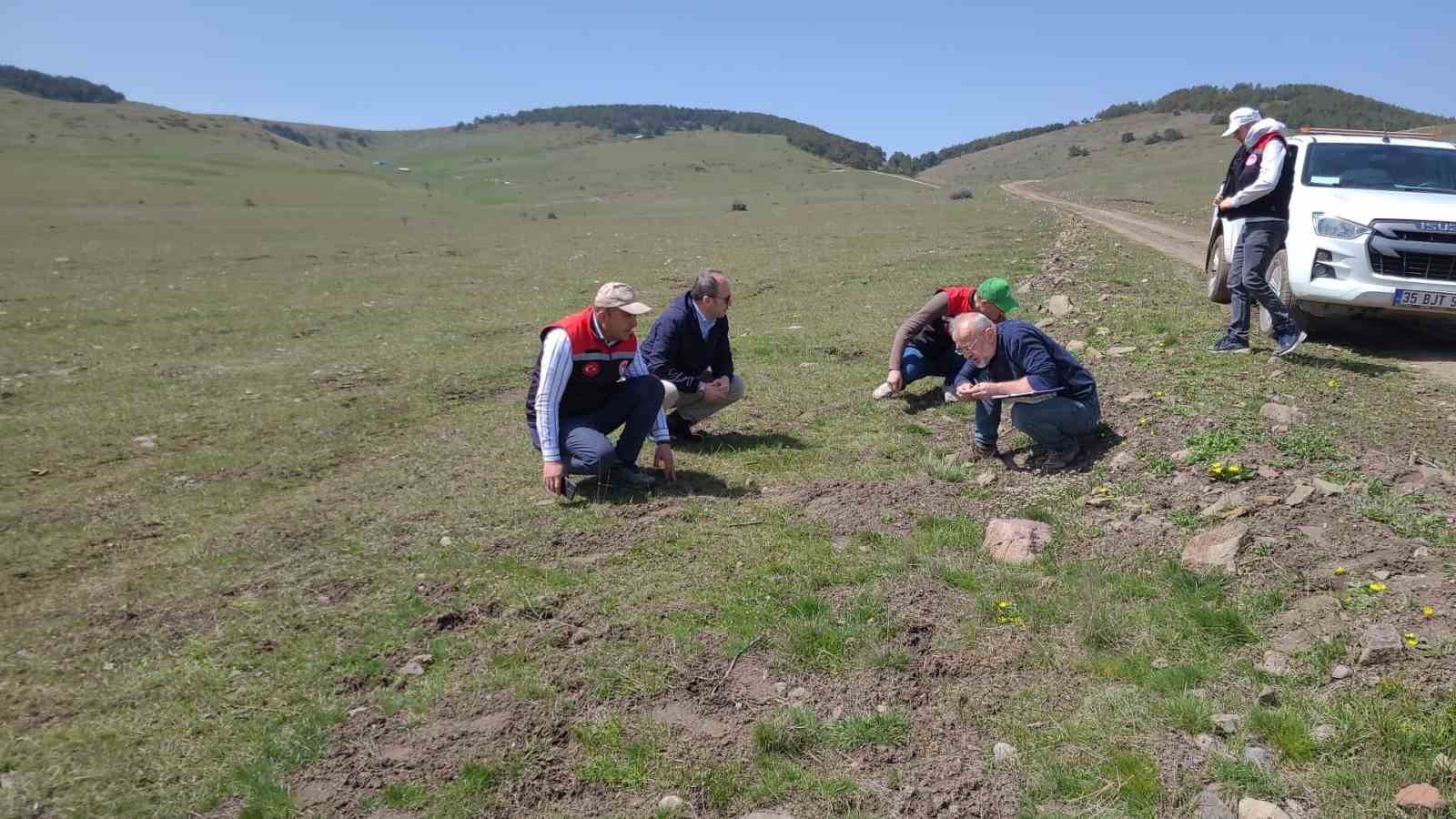 Amasya’nın mera ve yaylalarında otlatma kapasitesi incelemesi
?v=1