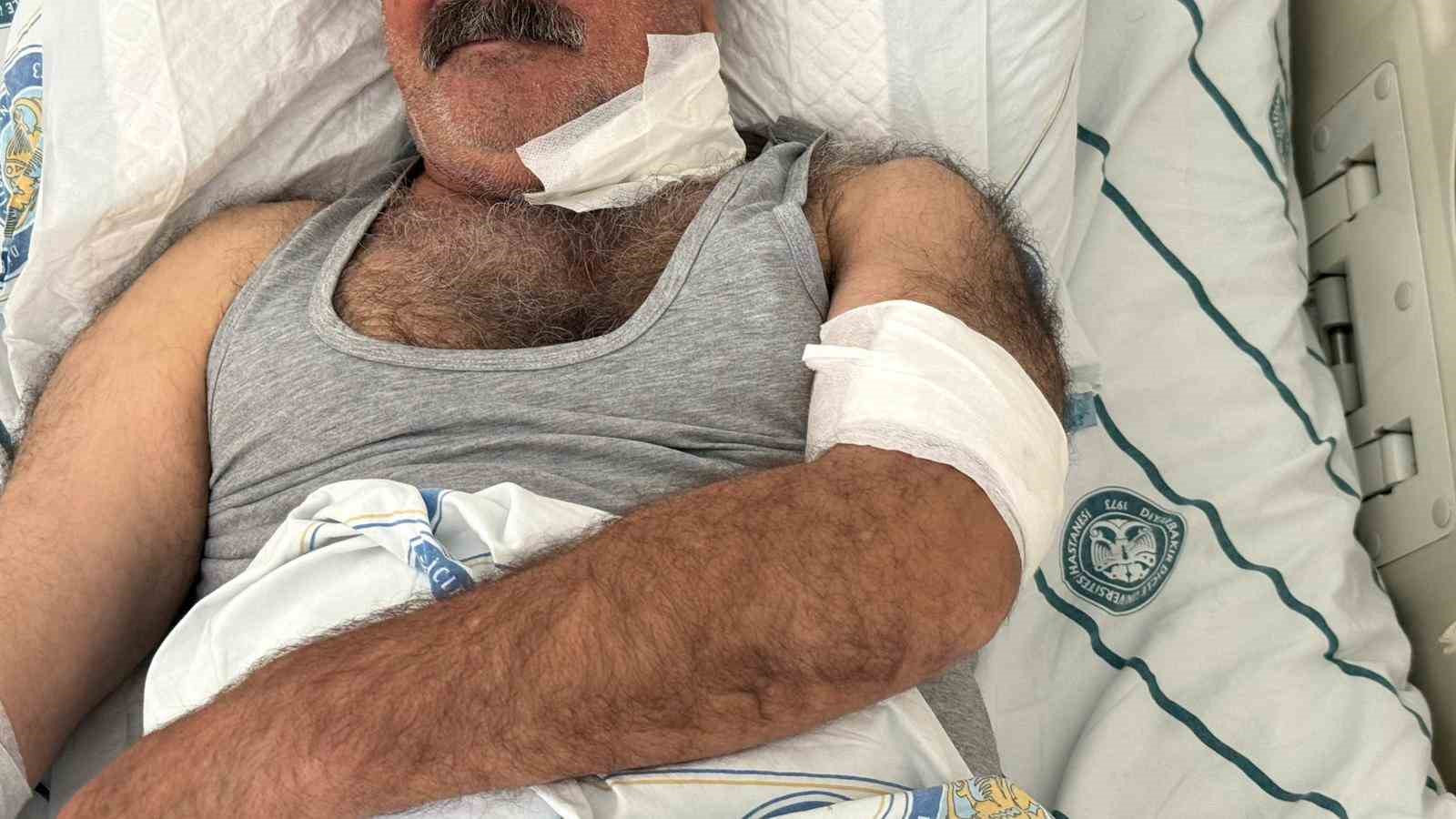 At sahibini boğazından ısırarak ağır yaraladı
?v=1