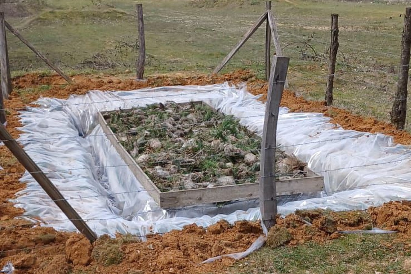 Düzce’de Çam Kese böceğiyle mücadele başladı
?v=1