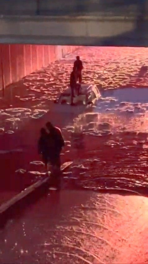 Elazığ’da alt geçit suyla doldu: Mahsur kalan vatandaşları itfaiye kurtardı
?v=1