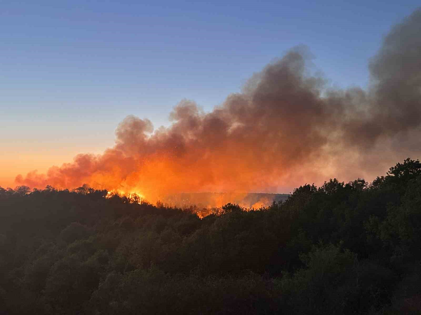 Beykoz’da 3 hektarlık alan küle döndü: Yangına müdahale devam ediyor
?v=1