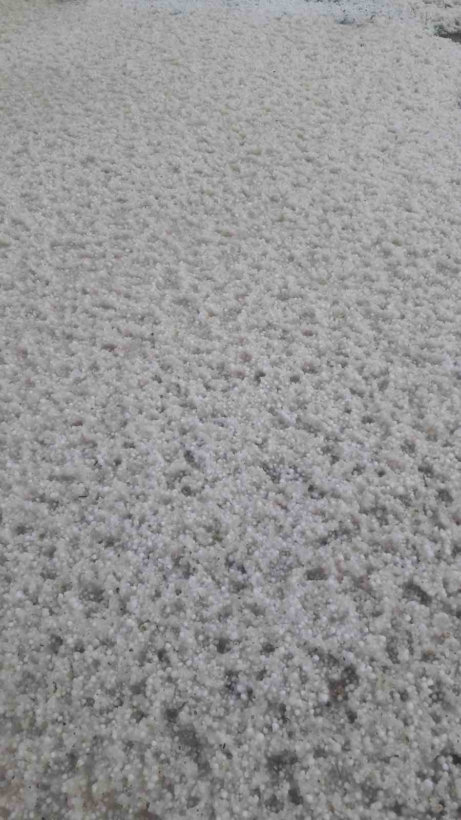 Tomarza’da dolu etkili oldu
?v=1