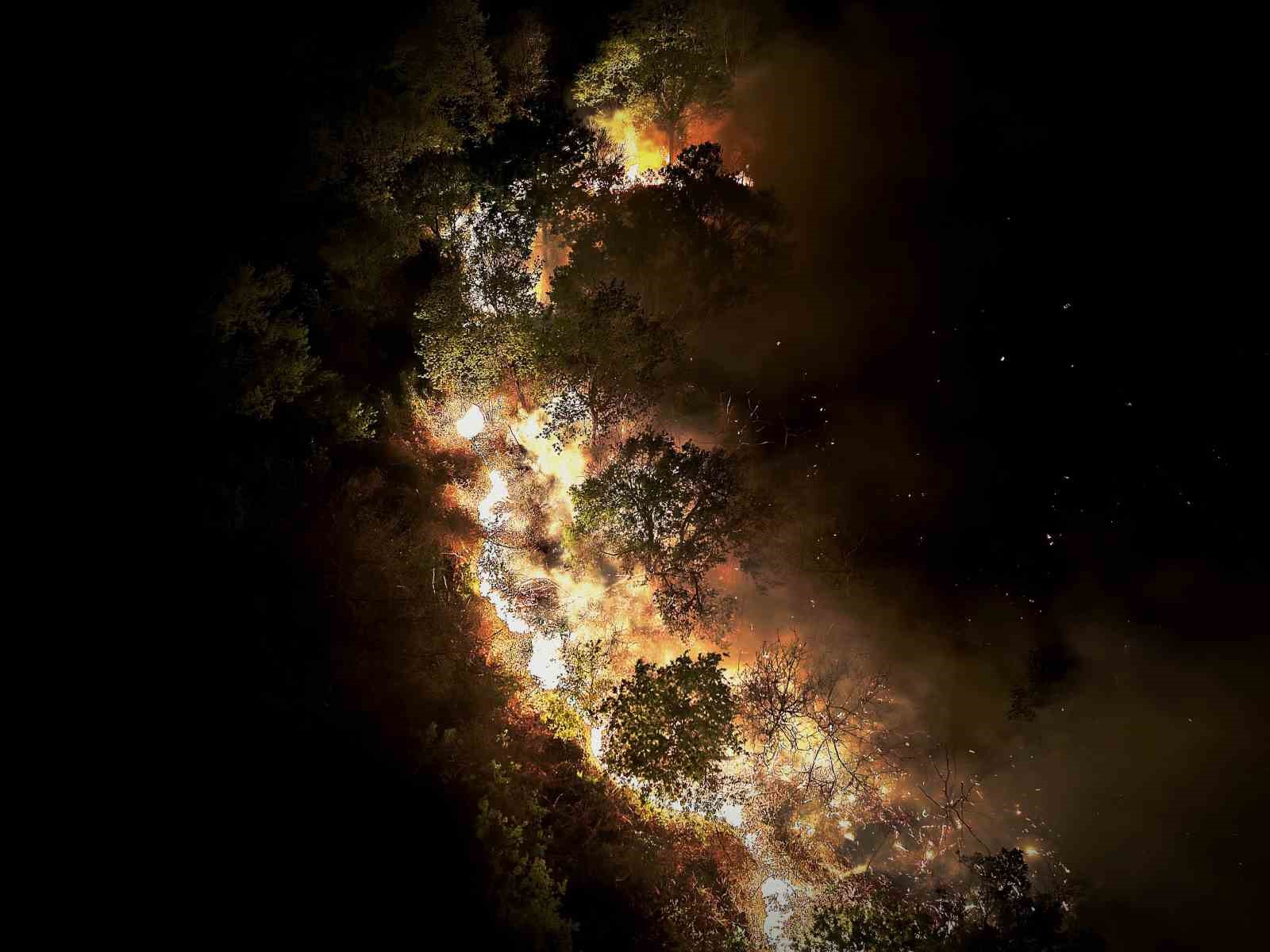 Beykoz’daki orman yangını 9 saatte kontrol alındı
?v=1