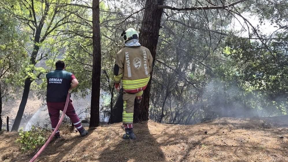 İskenderun’da orman yangını kontrol altına alındı
?v=1