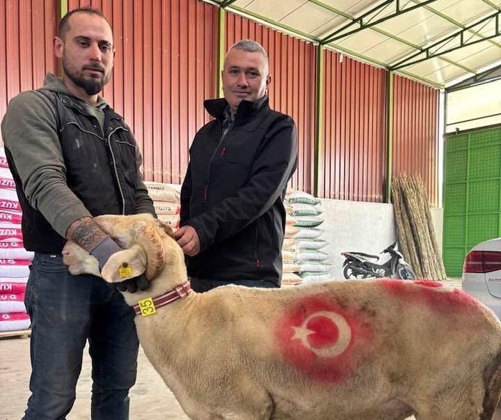 Sarıgöl’de kurbanlık pazarı hareketlendi
?v=1