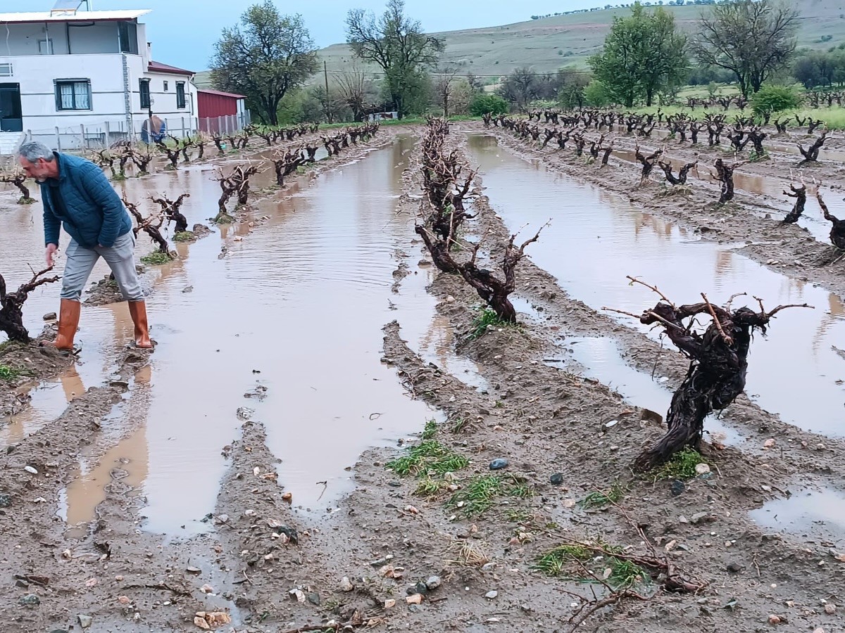 Elazığ’da dolu yağışı sonrası hasar tespit çalışması
?v=1