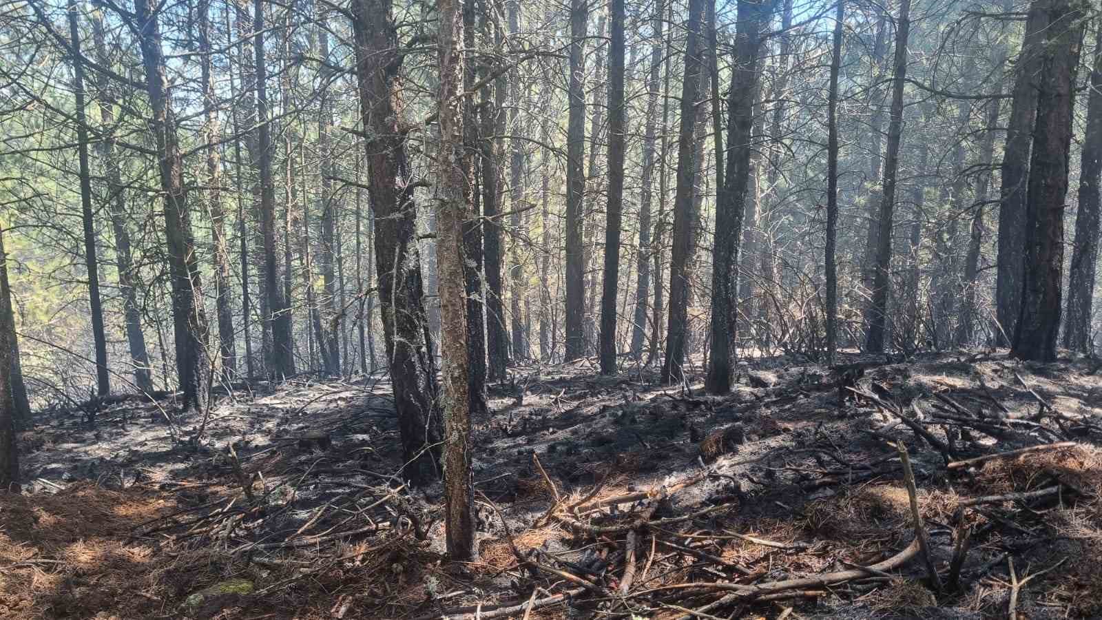 Orman yangını kontrol altına alındı
?v=1