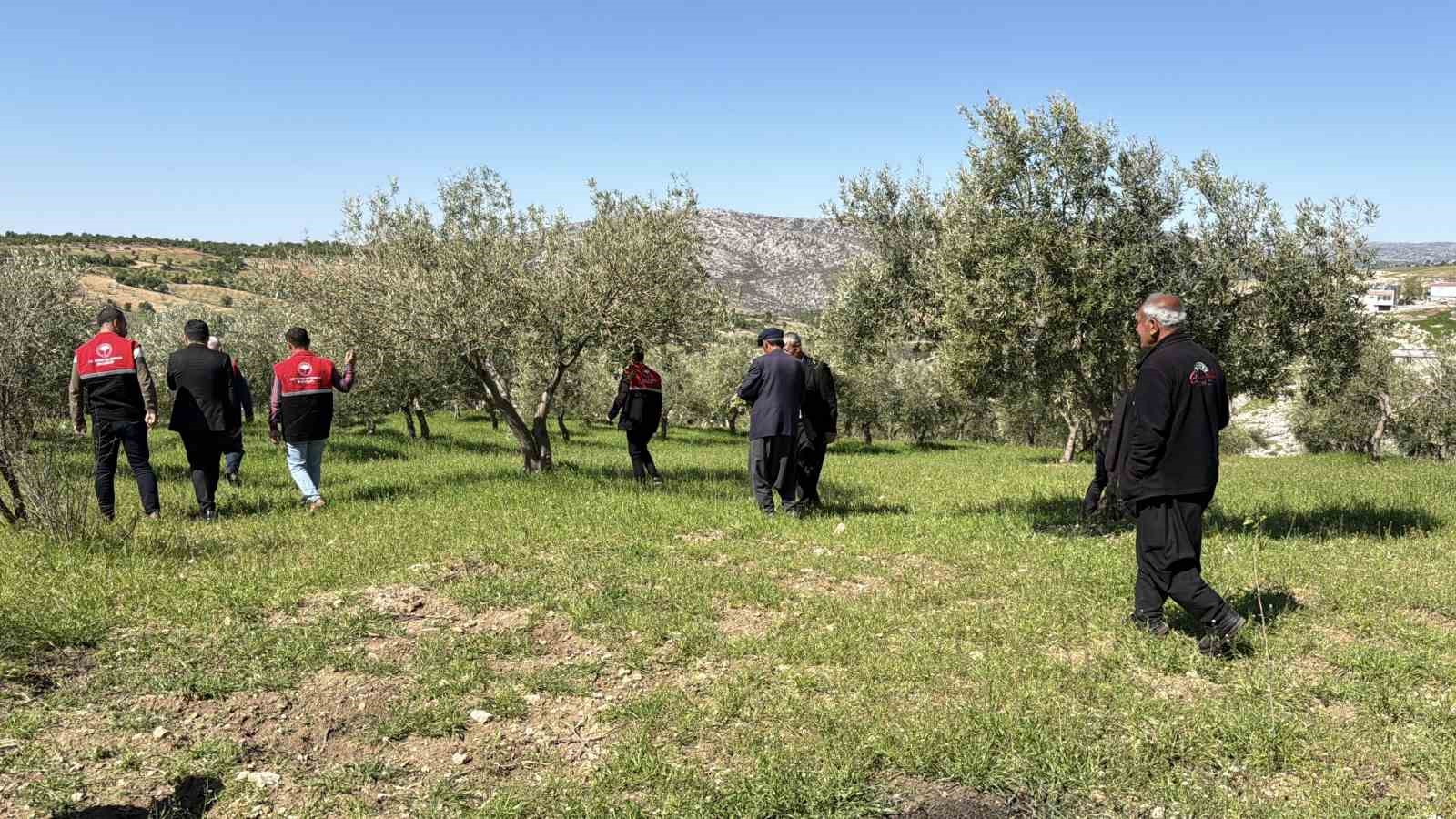 Dolu sonrası hasar tespit çalışmaları başladı
?v=1