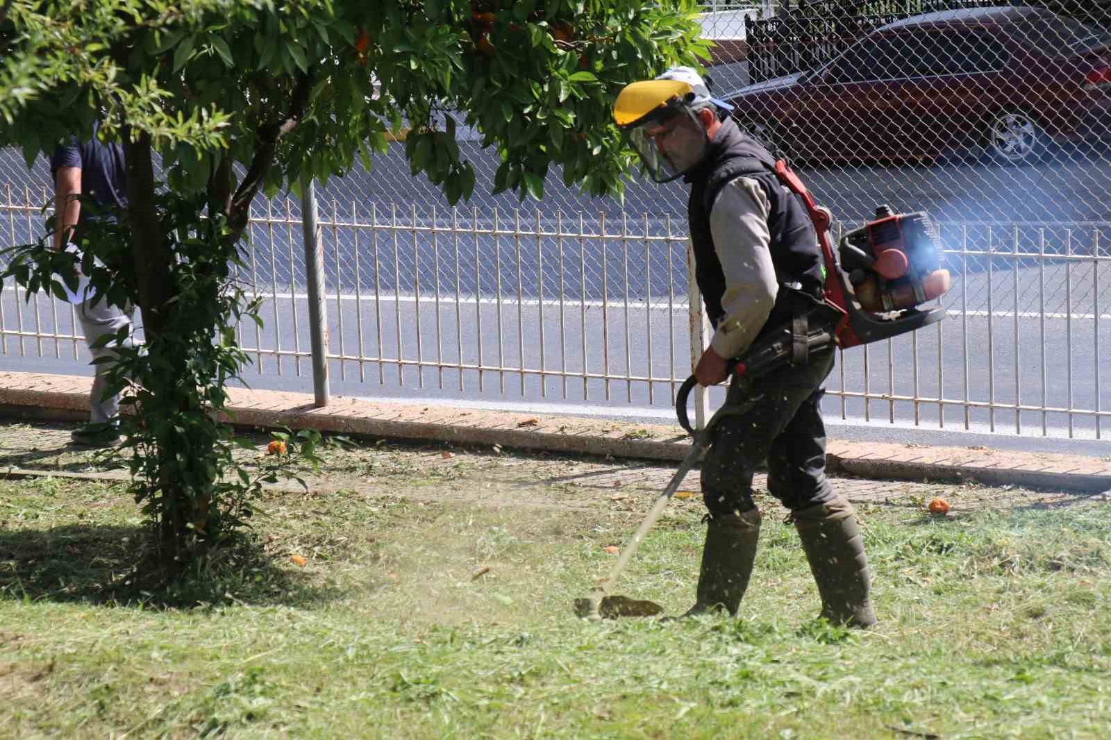 Bozdoğan’da çevre düzenleme çalışmaları sürüyor
?v=1