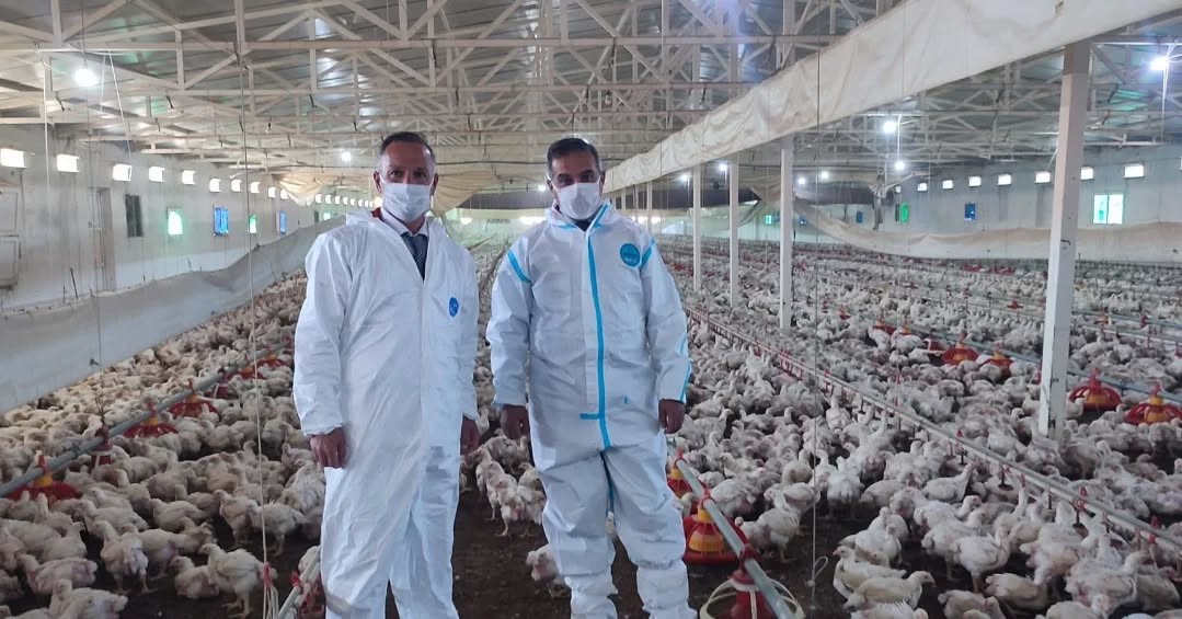 Aydın’da kanatlı üretimi 71 işletmede sürüyor
?v=1