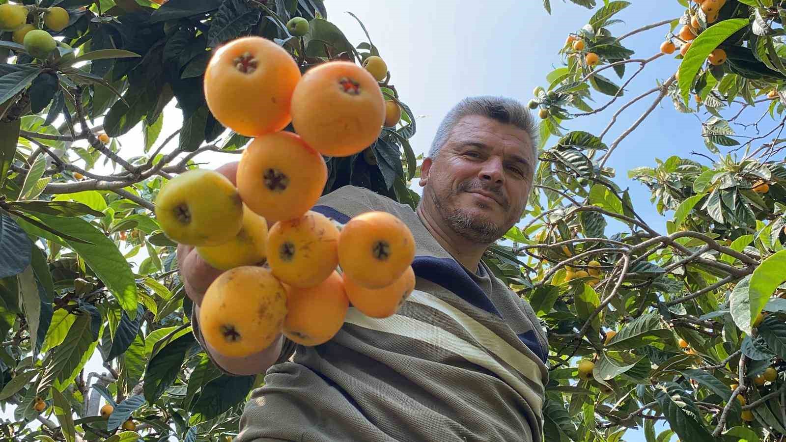 ’Sarı altın’ yenidünyada hasat başladı: İç pazara 50-100 TL’ye, dış pazara 4 dolara gönderiliyor
?v=1