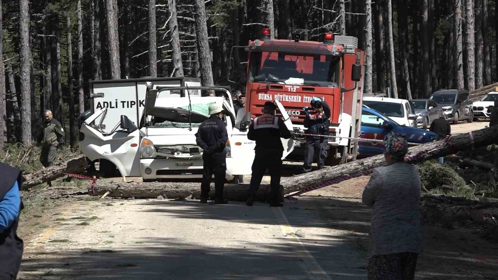 Uludağ’da inanılmaz olay...Kesilen ağaç seyir halindeki kamyonetin üzerine devrildi: 1 ölü
?v=1