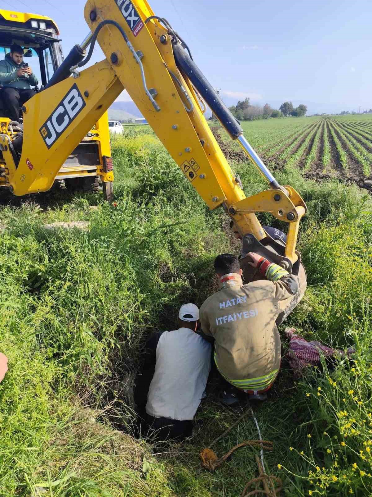 Antakya’da kuyuya düşen büyükbaş hayvan kurtarıldı
?v=1