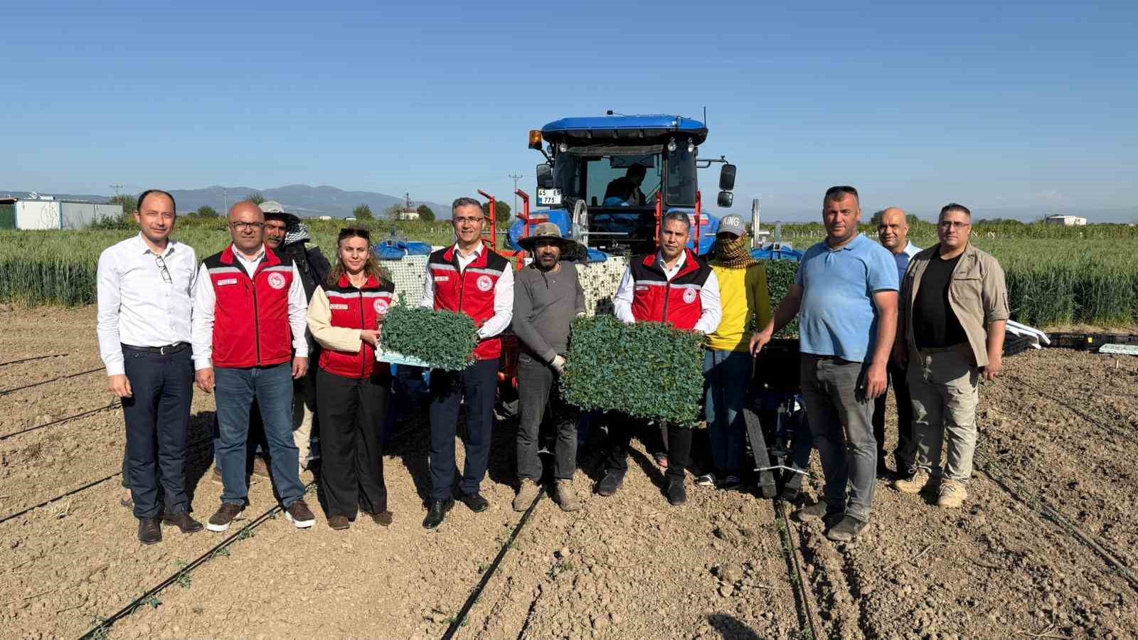 Manisa’da 131 bin dekarlık alanda domates mesaisi
?v=1