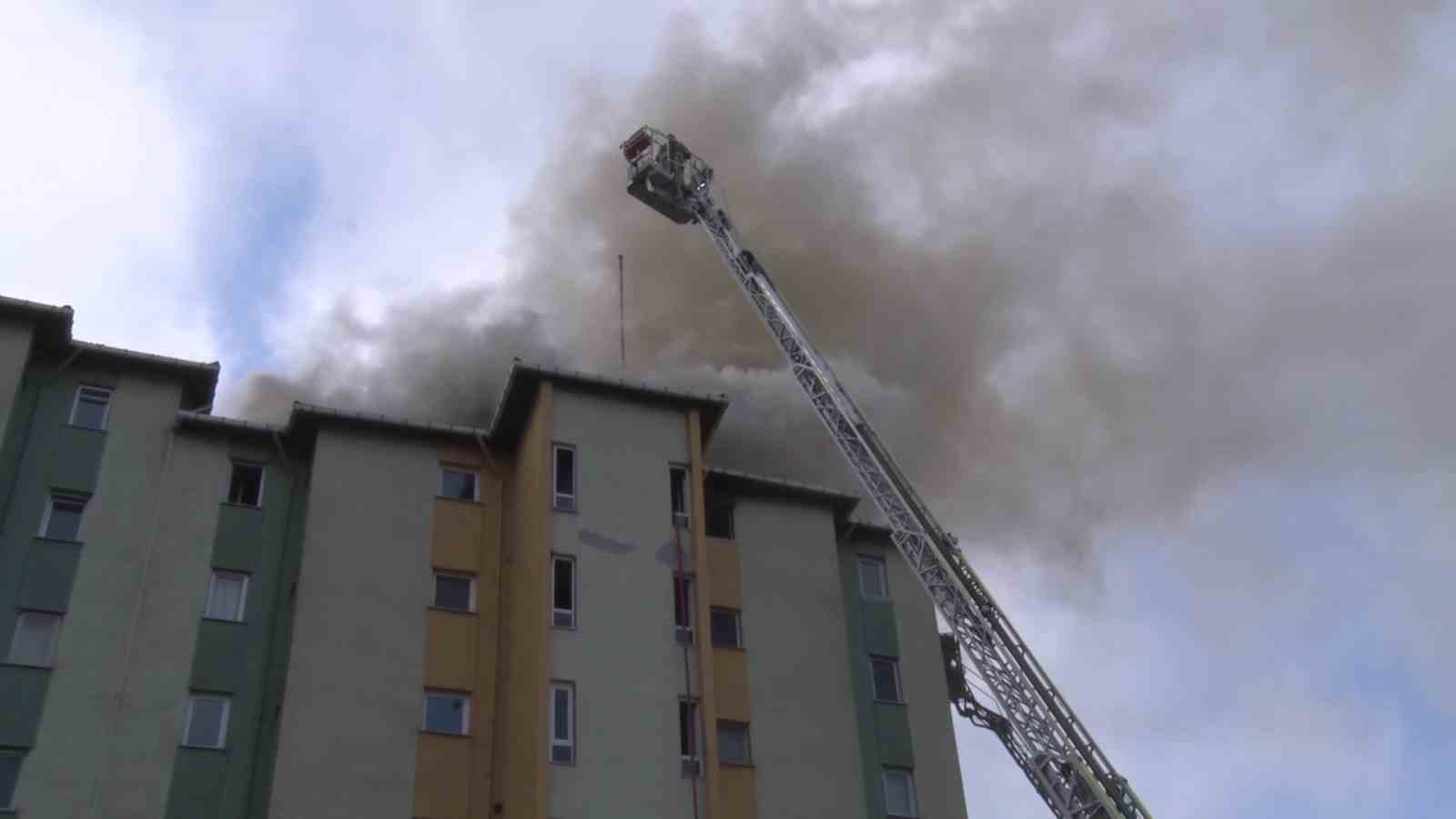 Ataşehir’de site içinde yangın: Sakat köpek mahsur kaldı
?v=1