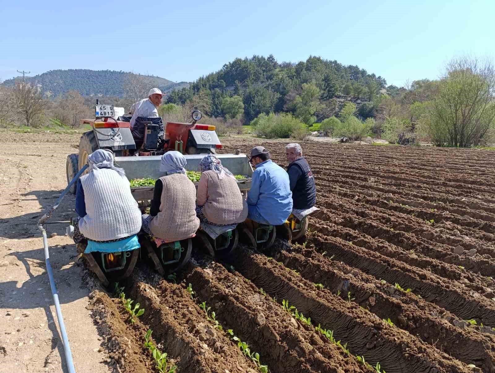 Selendi’de tarım işçisi yevmiyesi 1400 TL oldu
?v=1