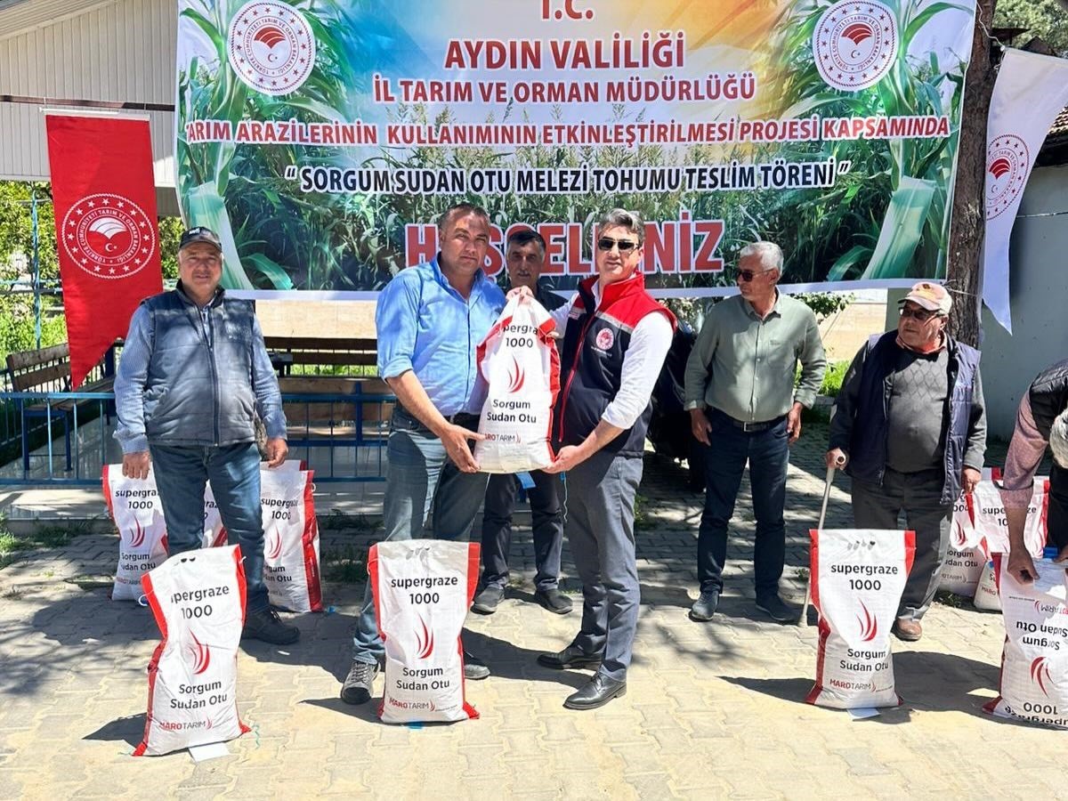 Silajlık mısıra alternatif olan sorgum otu üreticilere dağıtıldı
?v=1