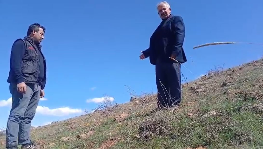 Ters laleyi koparmanın cezası 700 bin TL
?v=1