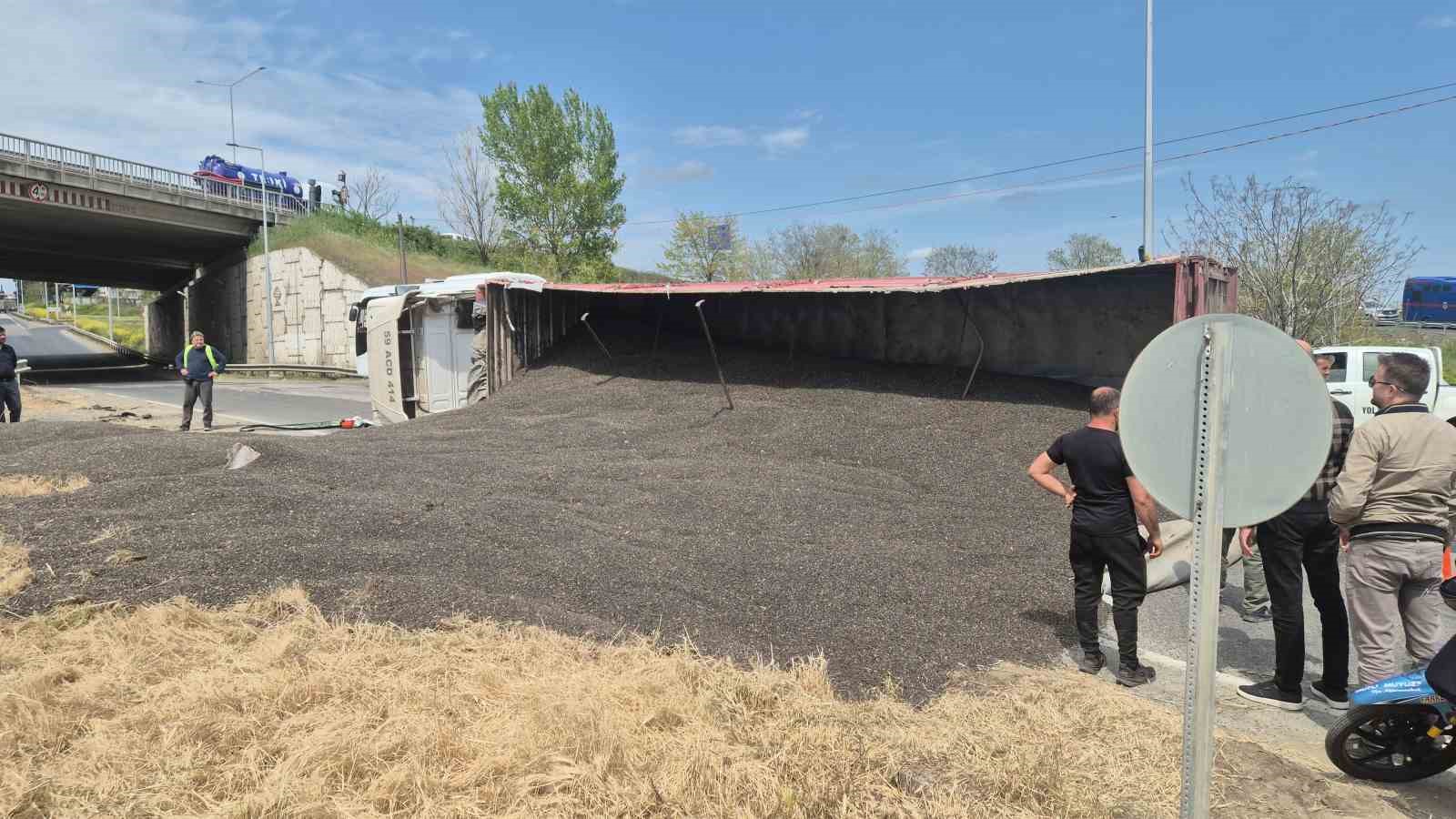 Tekirdağ’da ayçiçeği çekirdeği yüklü tır devrildi, trafik kilitlendi
?v=1