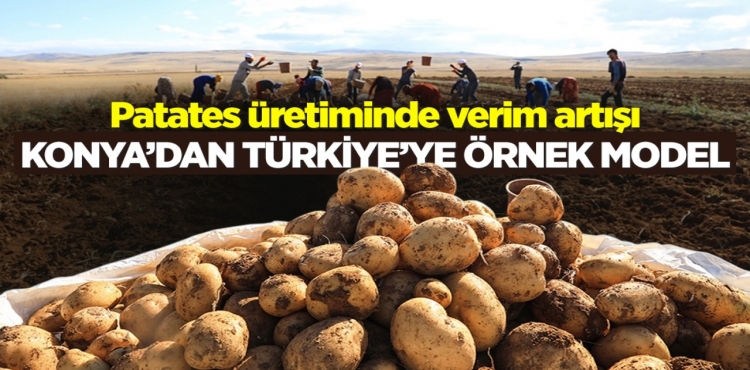 Konya’dan Türkiye’ye Örnek Model