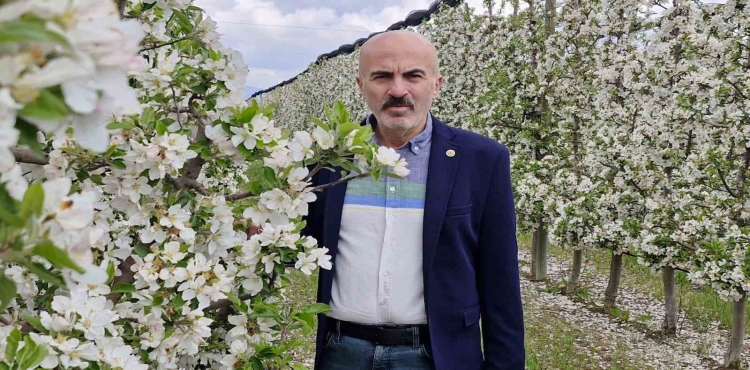 Karaman’da 16 milyon elma ağacı çiçek açarak gelinliğini giydi