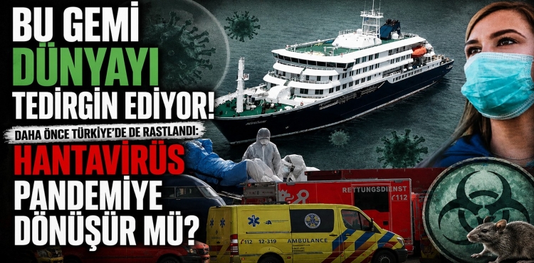 Bu Gemi Dünyayı Tedirgin Ediyor Daha Önce Türkiye'de De Rastlandı  Hantavirüs Pandemiye Dönüşürmü?v=1