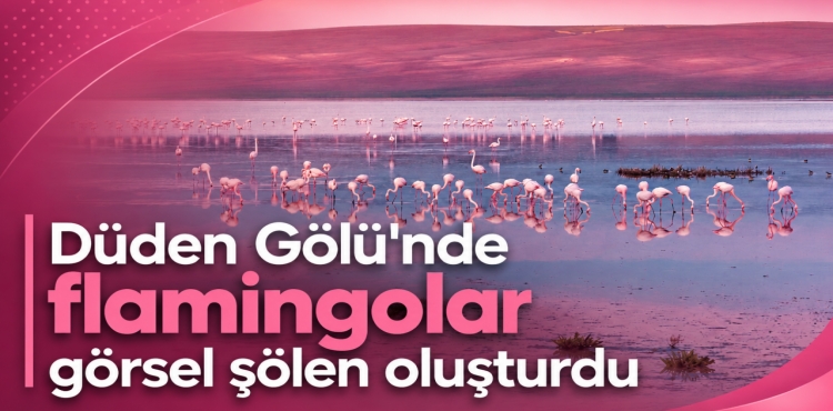 Düden Gölü'nde flamingolar Görsel Şölen Oluşturdu